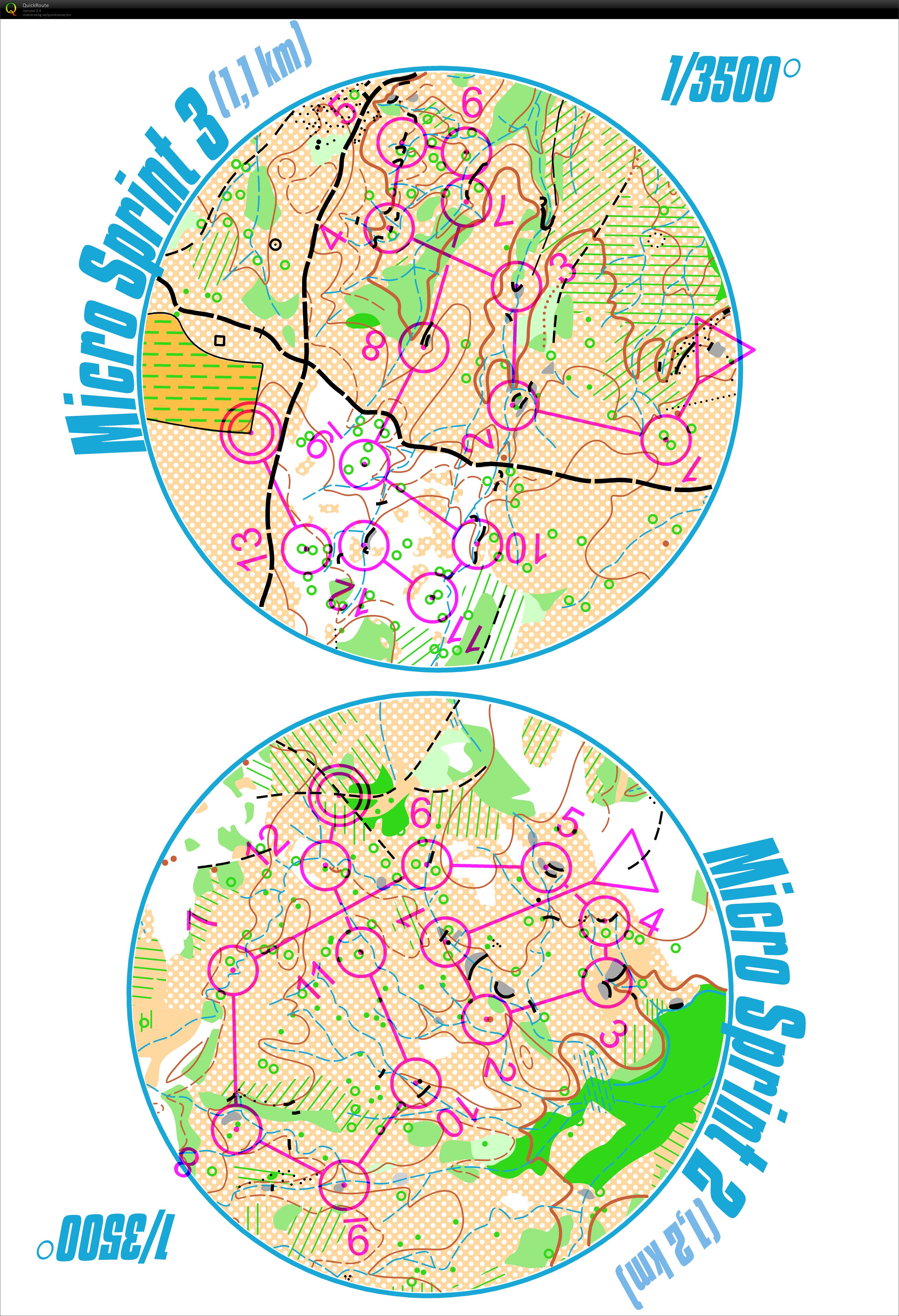 Microsprint (22.12.2012)