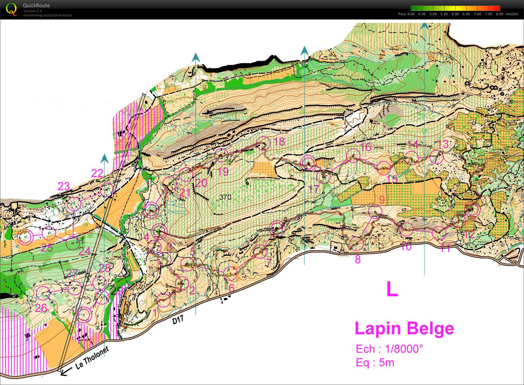 Lapin Belge (06-03-2011)