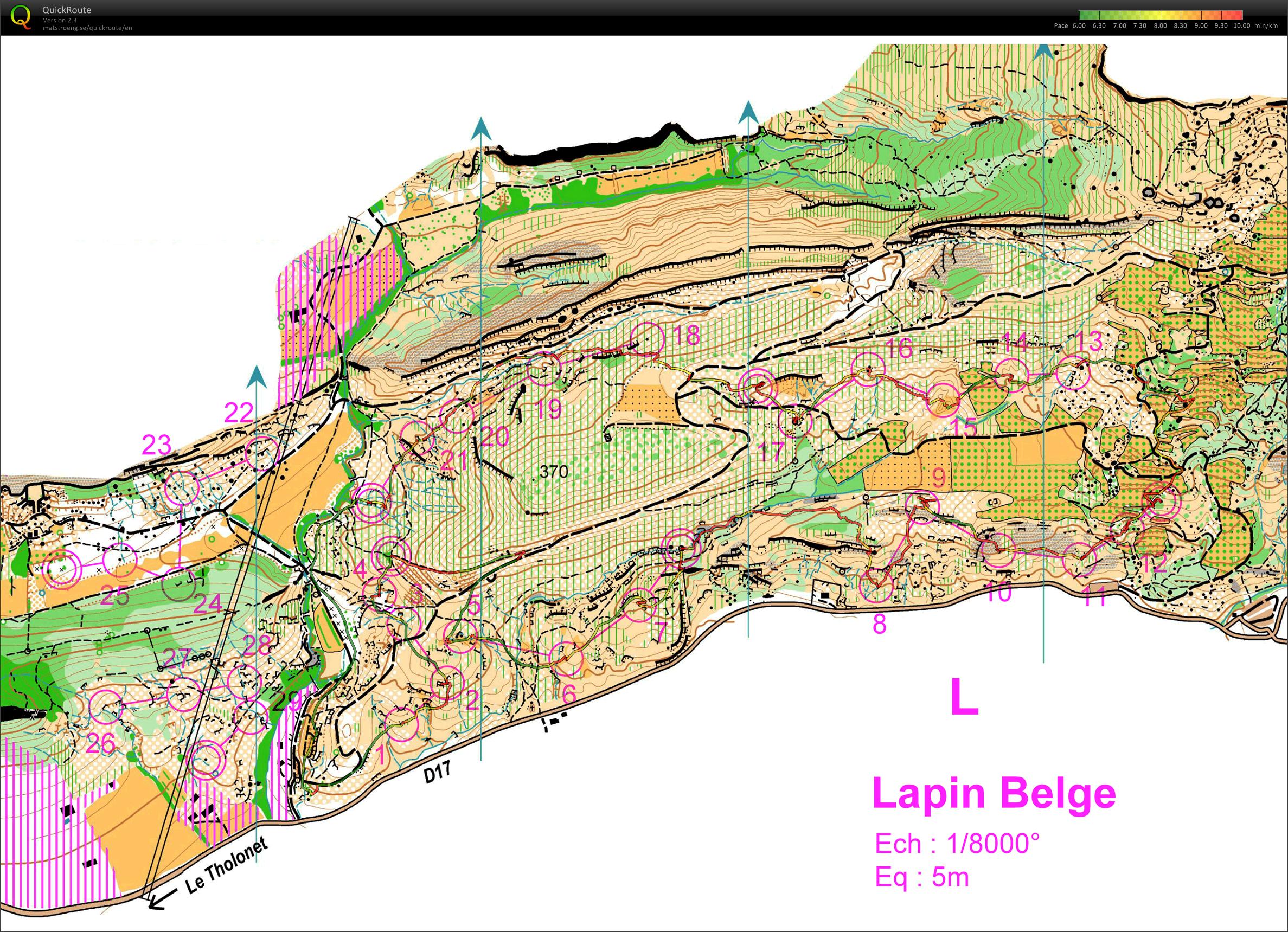 Lapin Belge (06.03.2011)