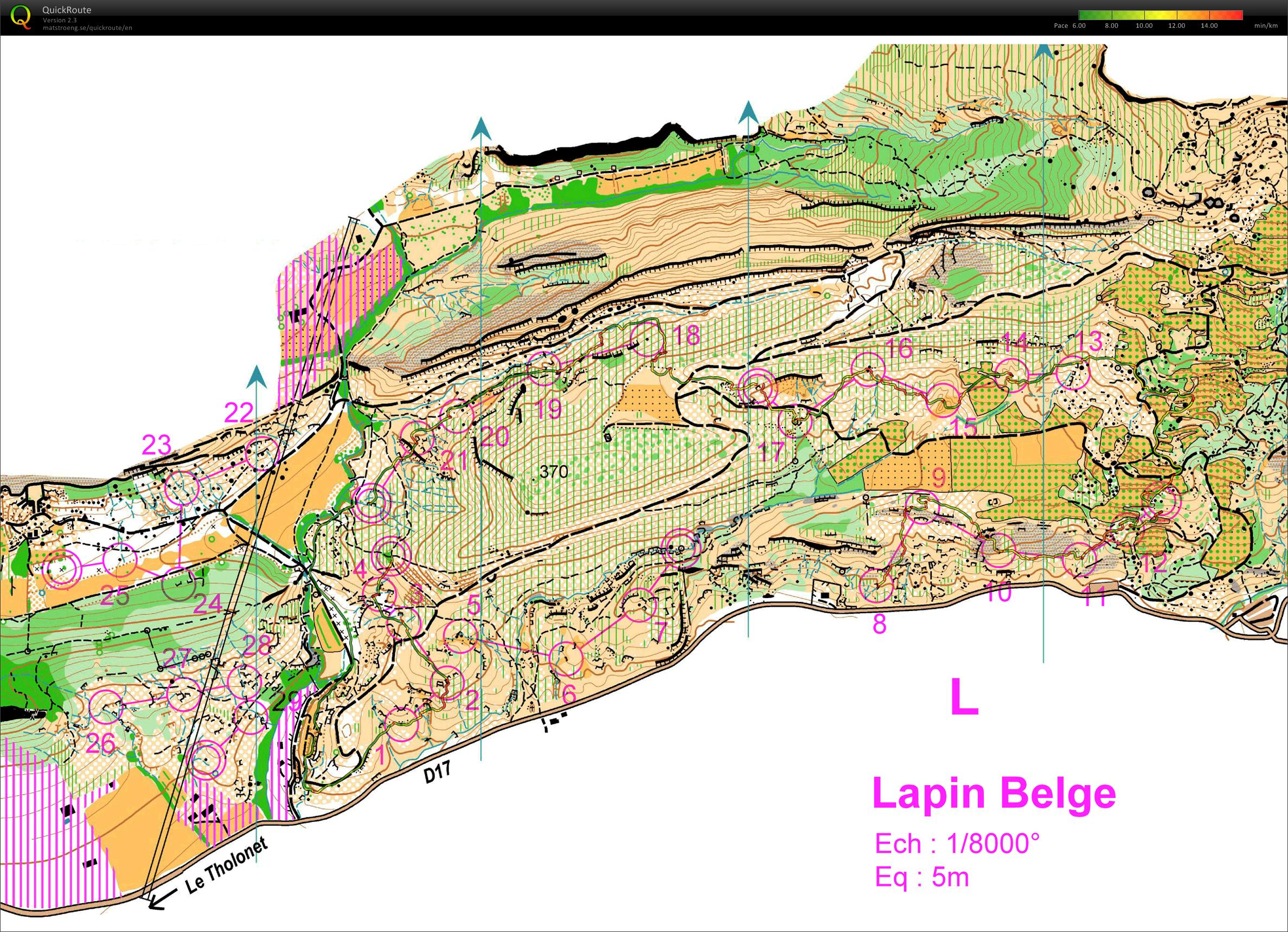 Lapin Belge (06/03/2011)