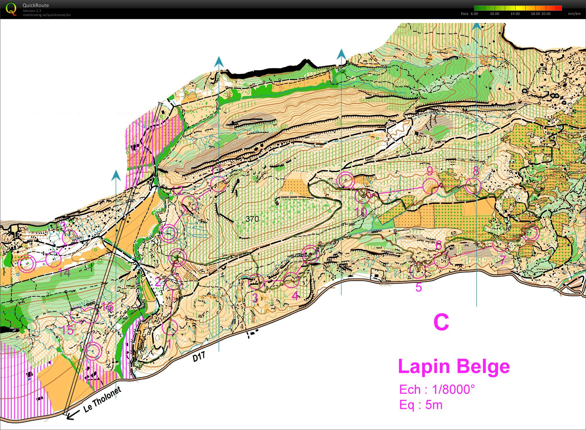 Lapin-Belge-C (06-03-2011)