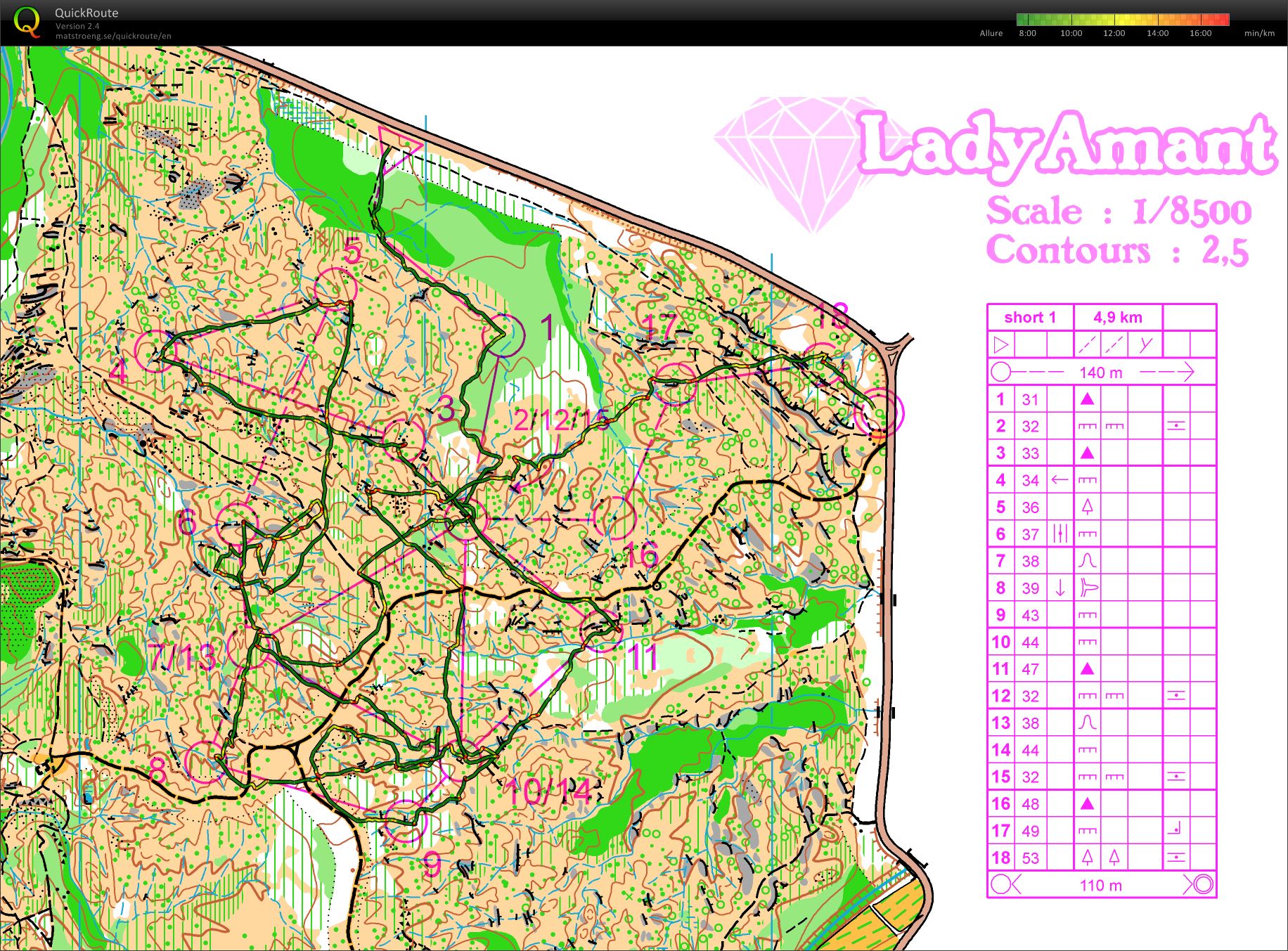 Training Diamant LadyAmant (04.06.2016)