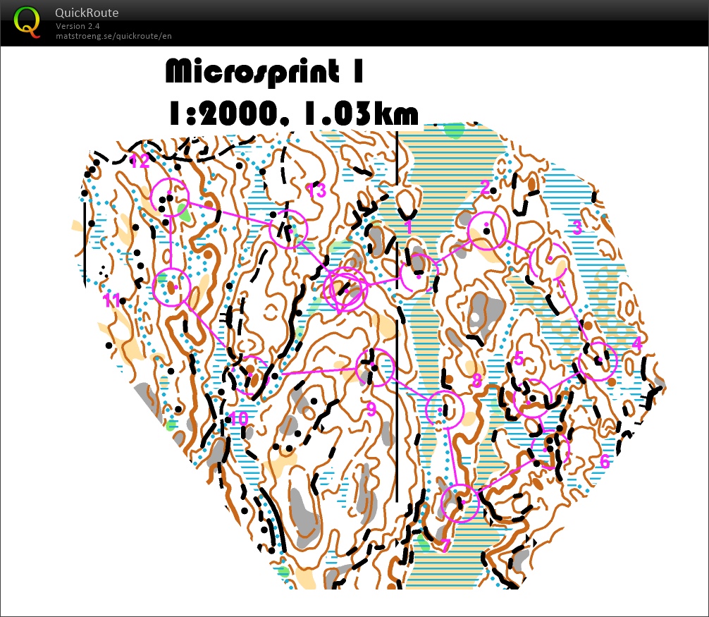 Høiås microSprint.1 (pose) (09/06/2016)