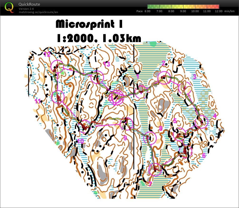 Høiås microSprint.1 (pose) (09/06/2016)