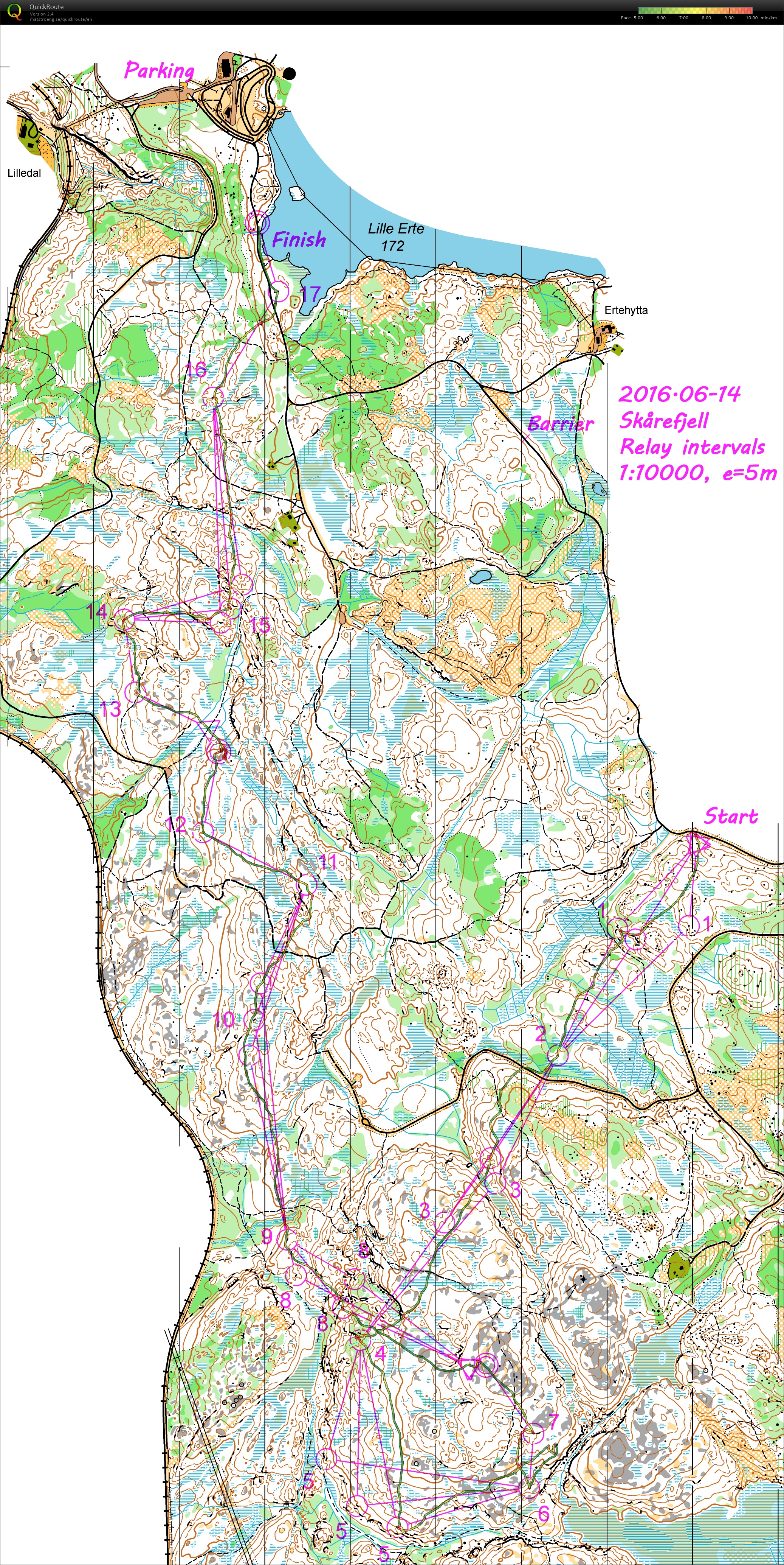 Skårefjell Relay O'interval (+SWE, SUI, FRA, AUT, ESP) (14.06.2016)