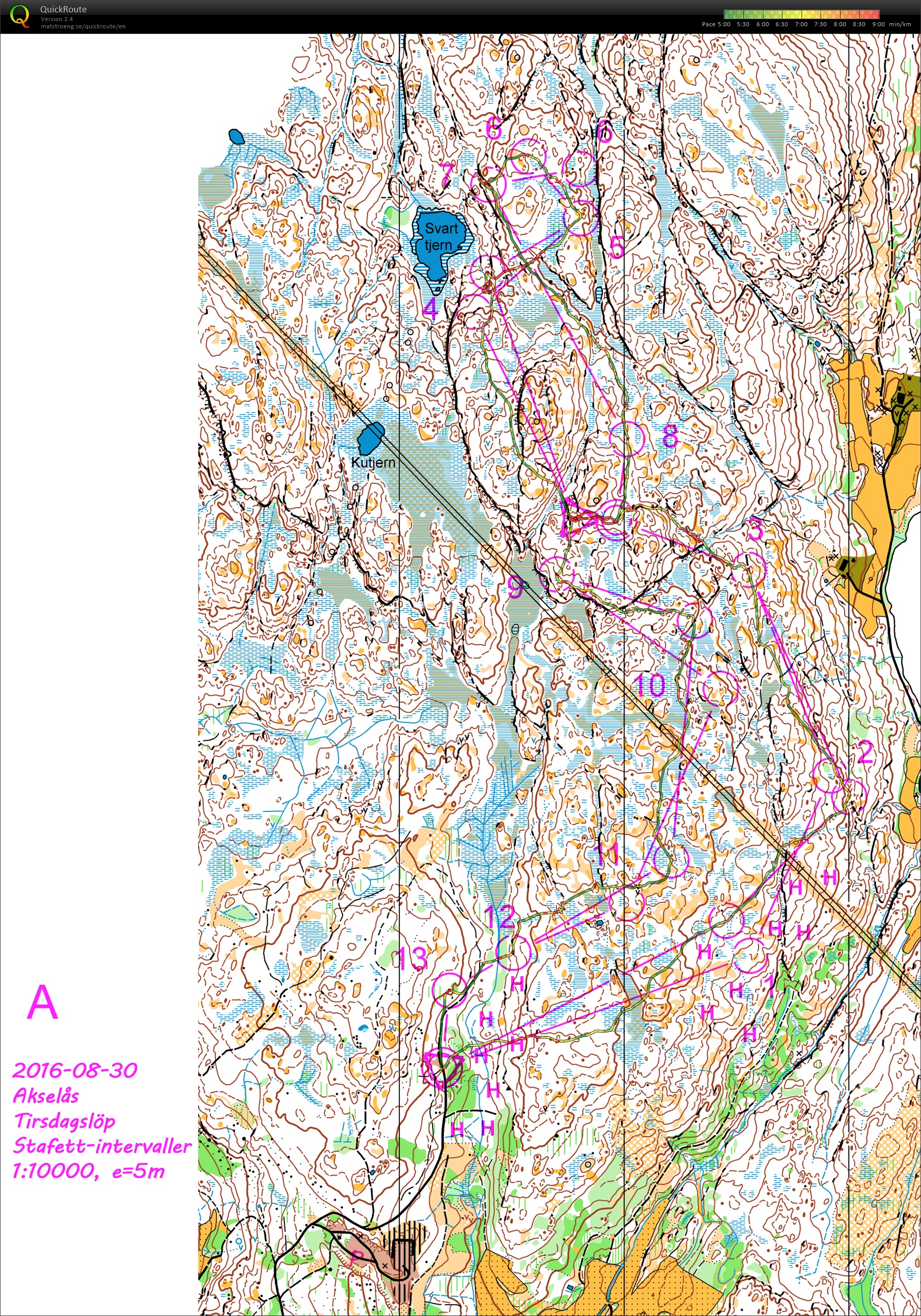 Akselås Tirsdagslöp (stafett-intervaller solo) (2016-08-30)