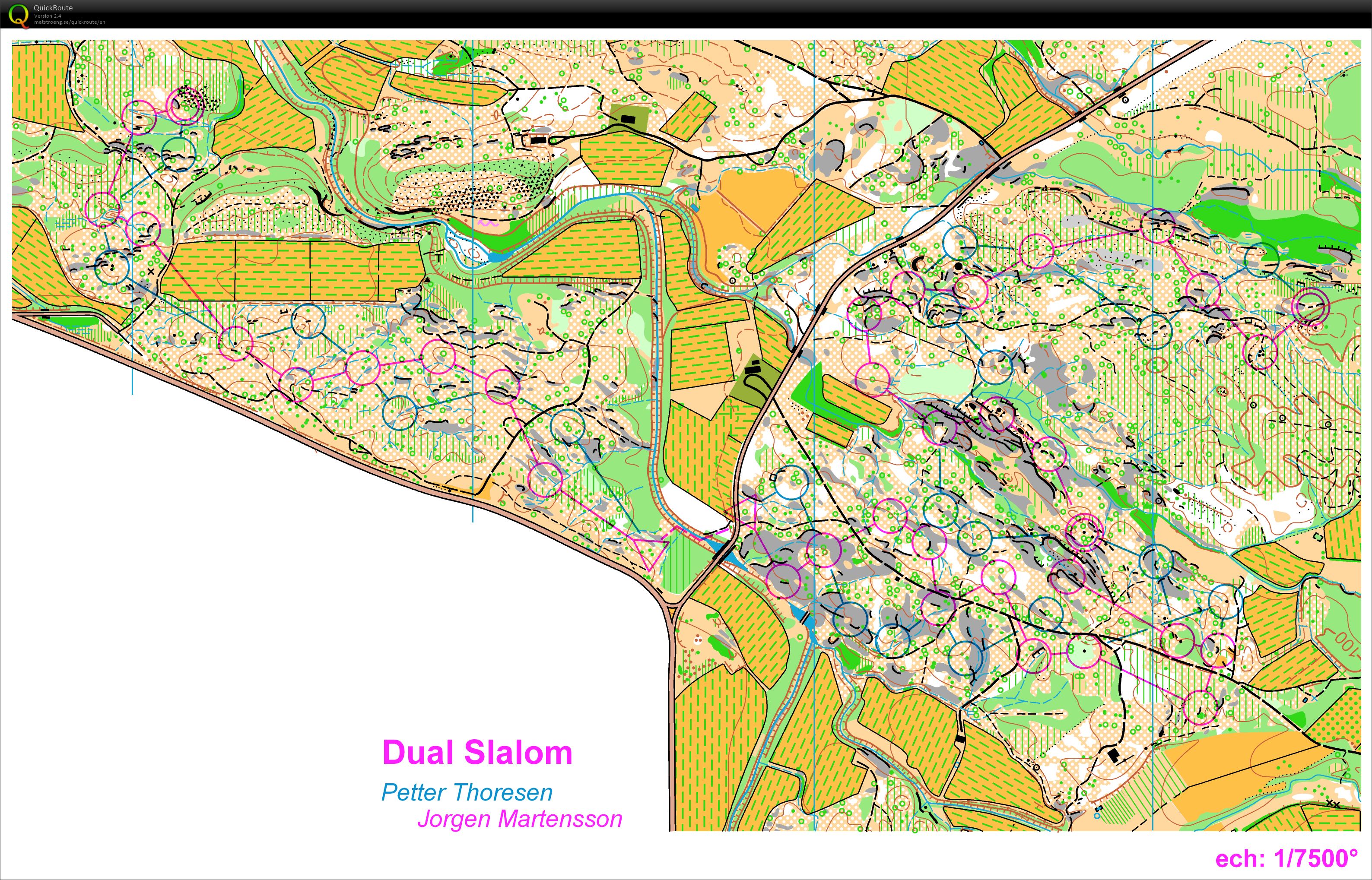 Dual Slalom (17/12/2016)