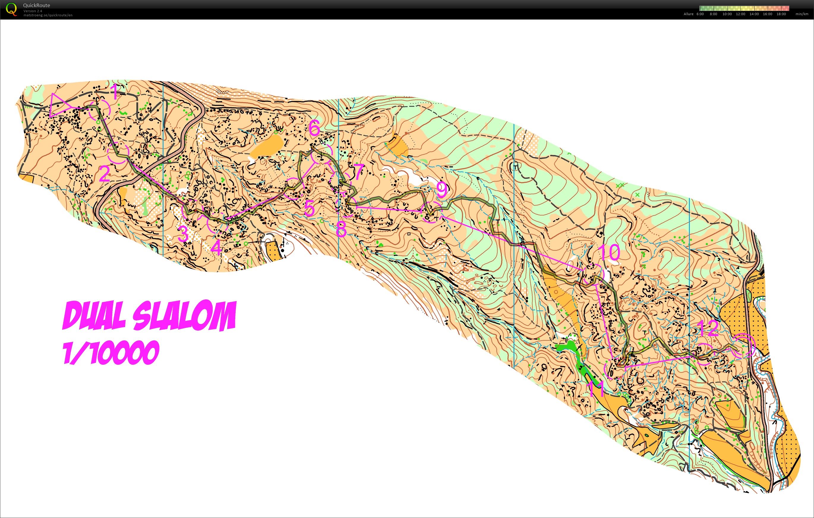 Dual Slalom (24/12/2016)