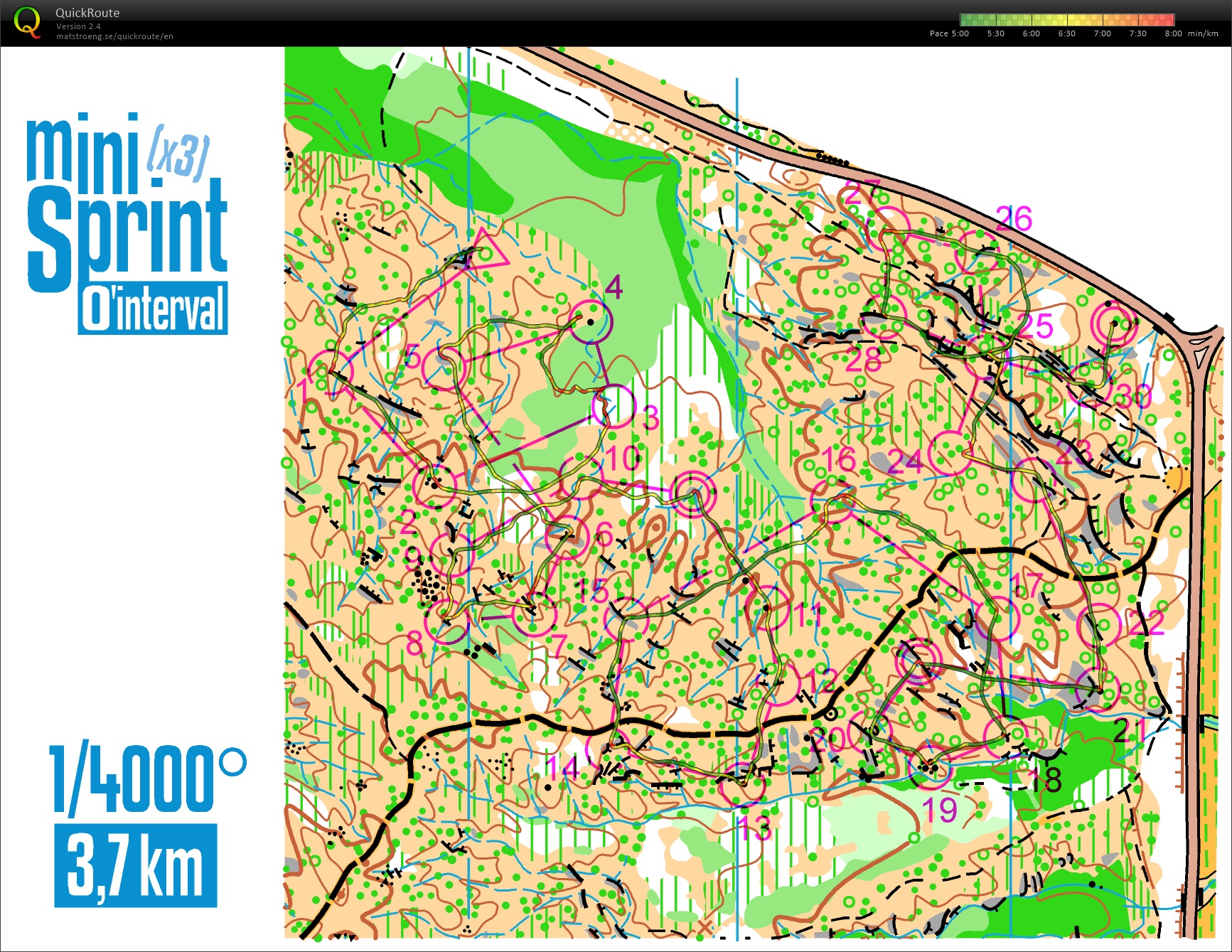 O'interval - (3x) miniSprints (01.01.2017)