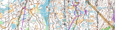 Training camp - Halden (5) // WOC 2019 training 