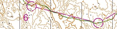 LD5 brunbild (Høiås vinterkontroller)