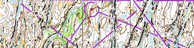 HSK WOC2019 training // pose LD (Våler Varde)