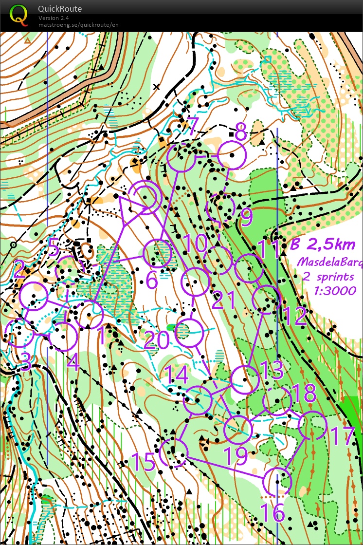 Sprint forêt (B) (15-01-2023)