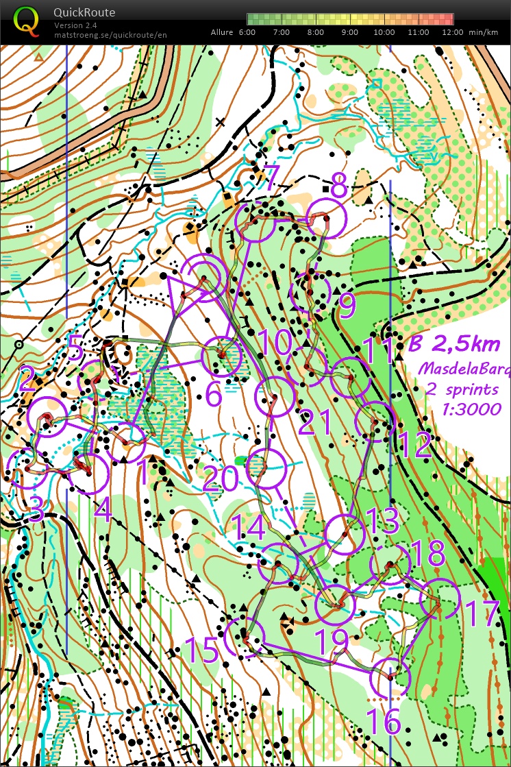 Sprint forêt (B) (15/01/2023)