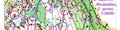 Sprint forêt (B) (15/01/2023)