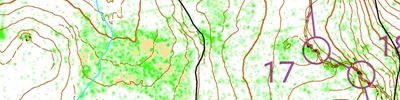 Repérage carto LiDAR // forêt de Mercoire (2025-04-01)