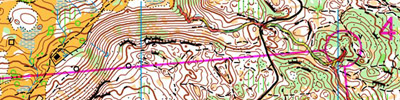 WOC 2011 - LD qualif