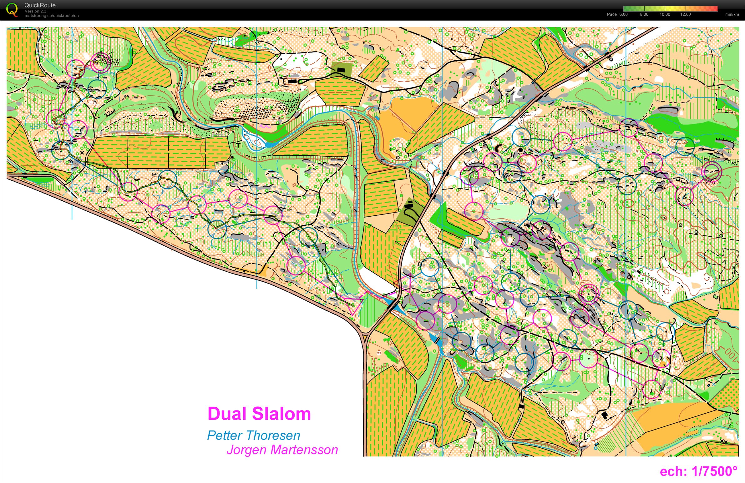 dual slalom (23.10.2011)