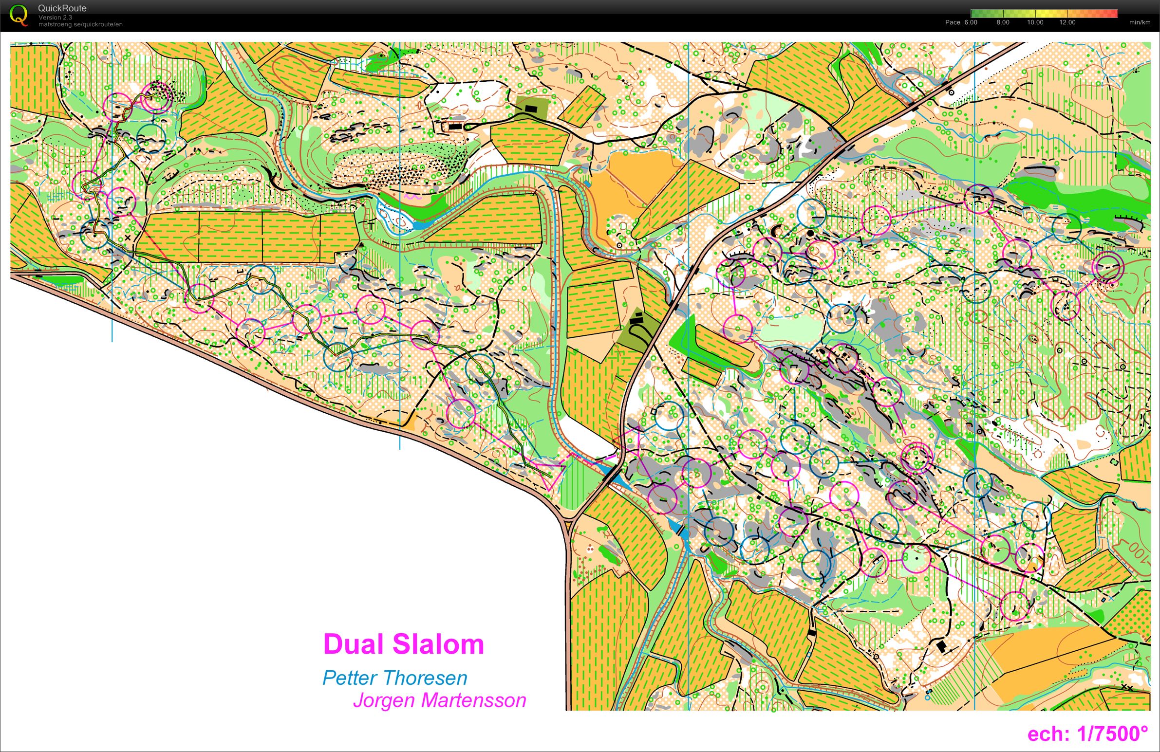 dual slalom (2011-10-23)