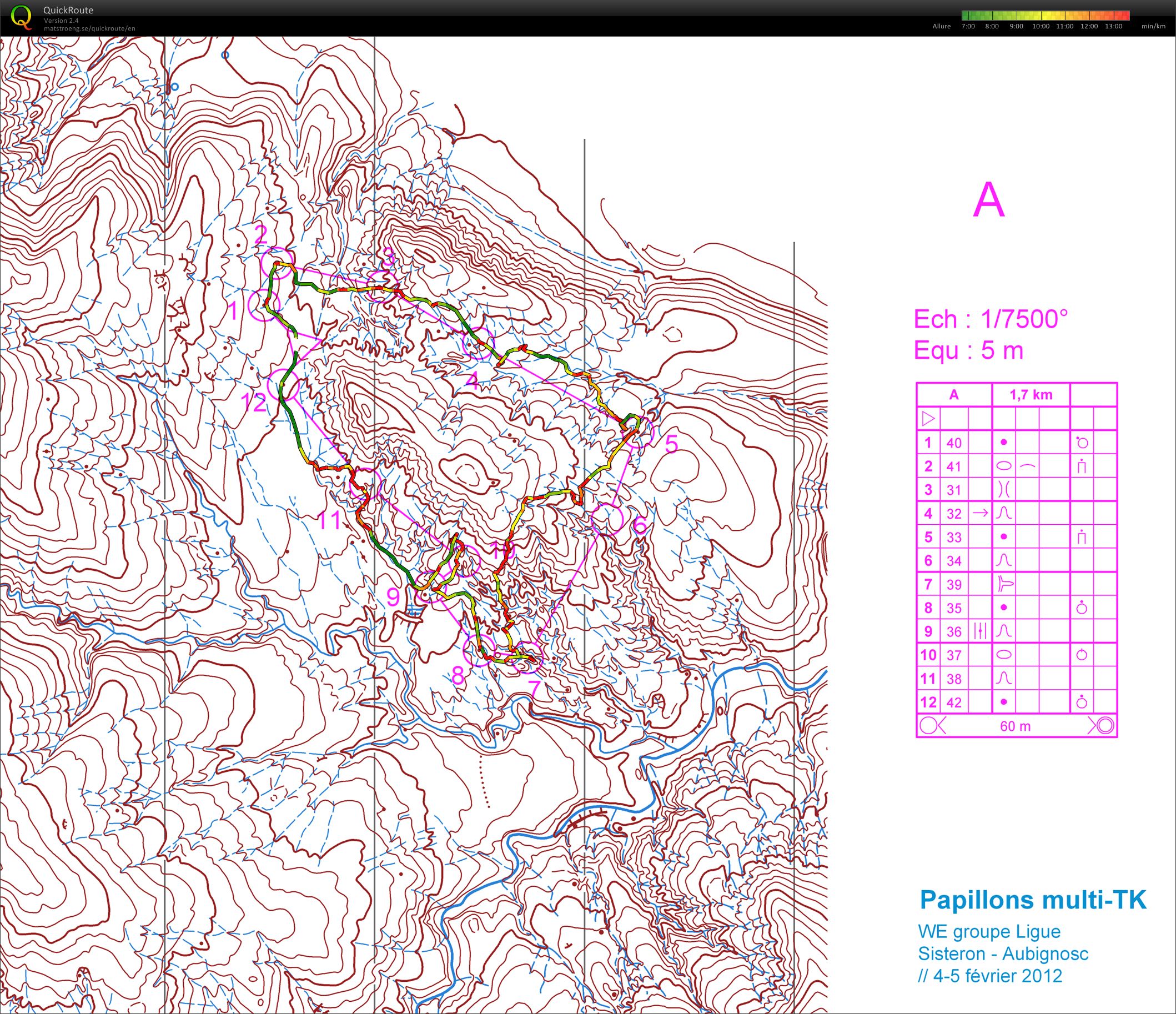 Papillons multi-TK (05.02.2012)